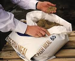Fishmeal Peru 65%