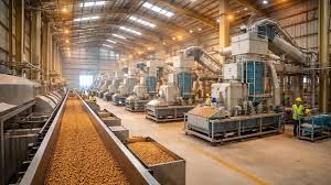 Corn gluten feed 20% - hình 1