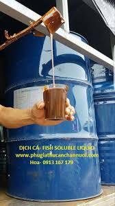 Dịch cá cô đặc (Fish soluble extract) – Đạm chiết xuất từ cá