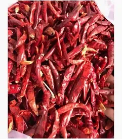 Cần thu mua ớt khô xuất khẩu SLL  